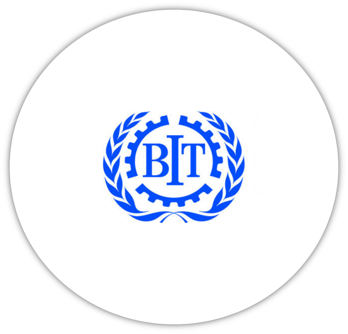 logo-bit