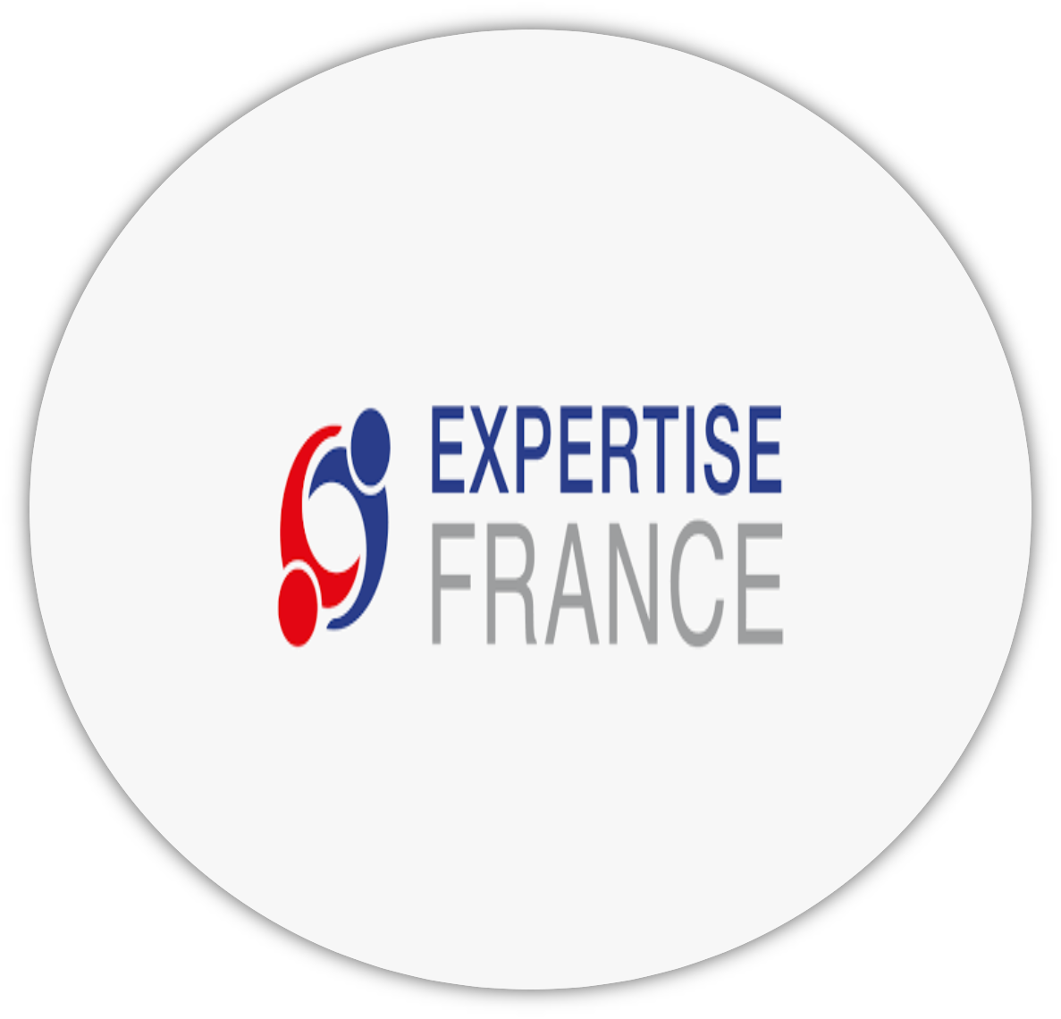 logo-expertise-france