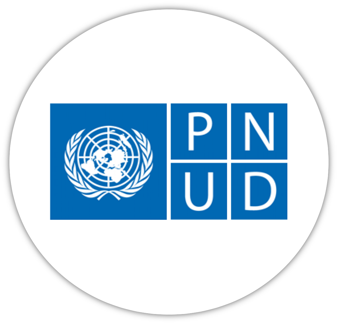 logo-pnud