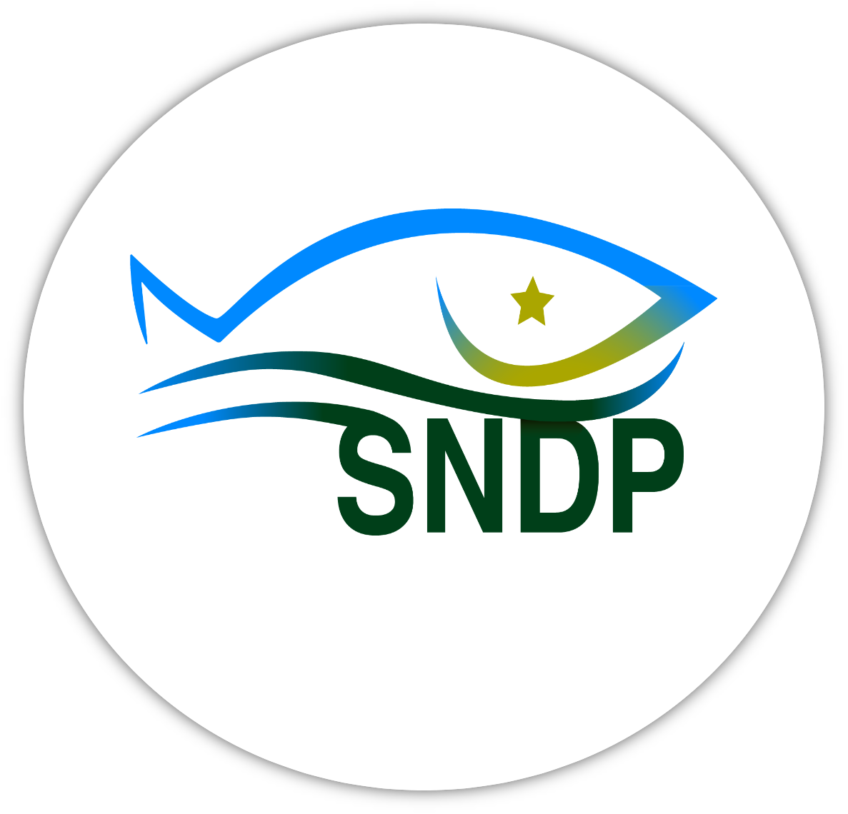 logo-sndp