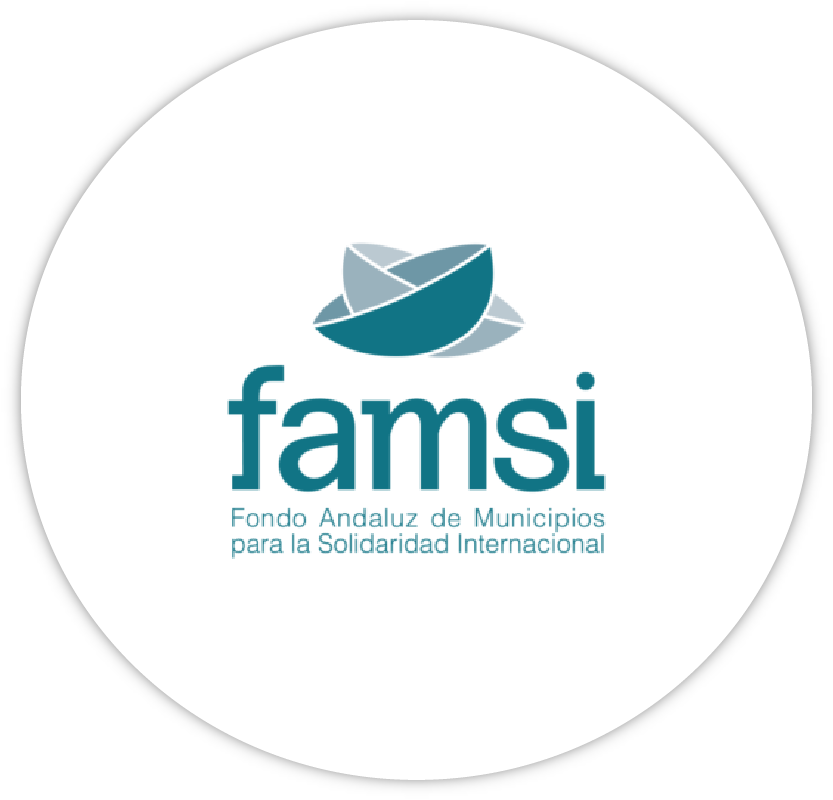 logo-famsi