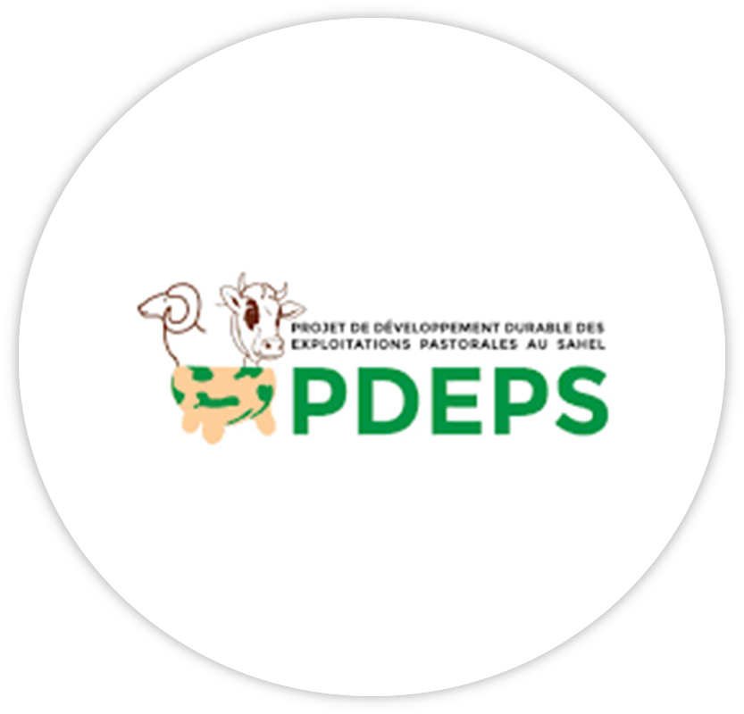 logo-pdeps