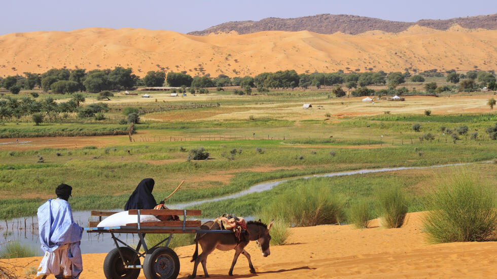 Evaluation finale indépendante du projet de soutien au développement inclusif et durable de 16 coopératives féminines horticoles de quatre (4) communes de la région du Trarza, Mauritanie